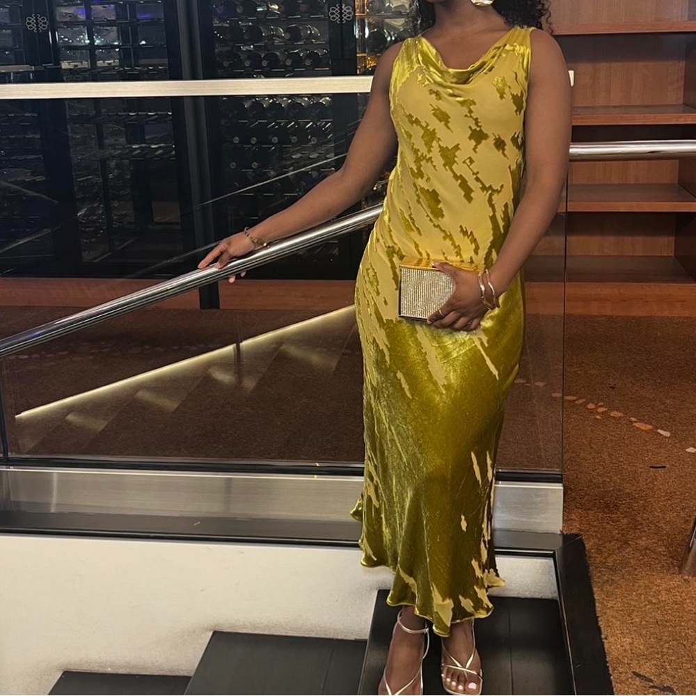 Zara velvet midi dress